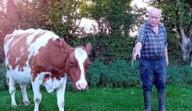 'After 51 years, I wept as I milked my last cow on my Cork farm'