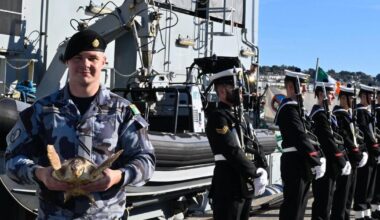 Irish navy returns five turtles to warmer waters after they washed up on west coast