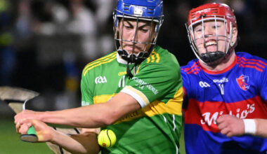 Erin's Own go down after Newtownshandrum make most of Premier Senior relegation replay