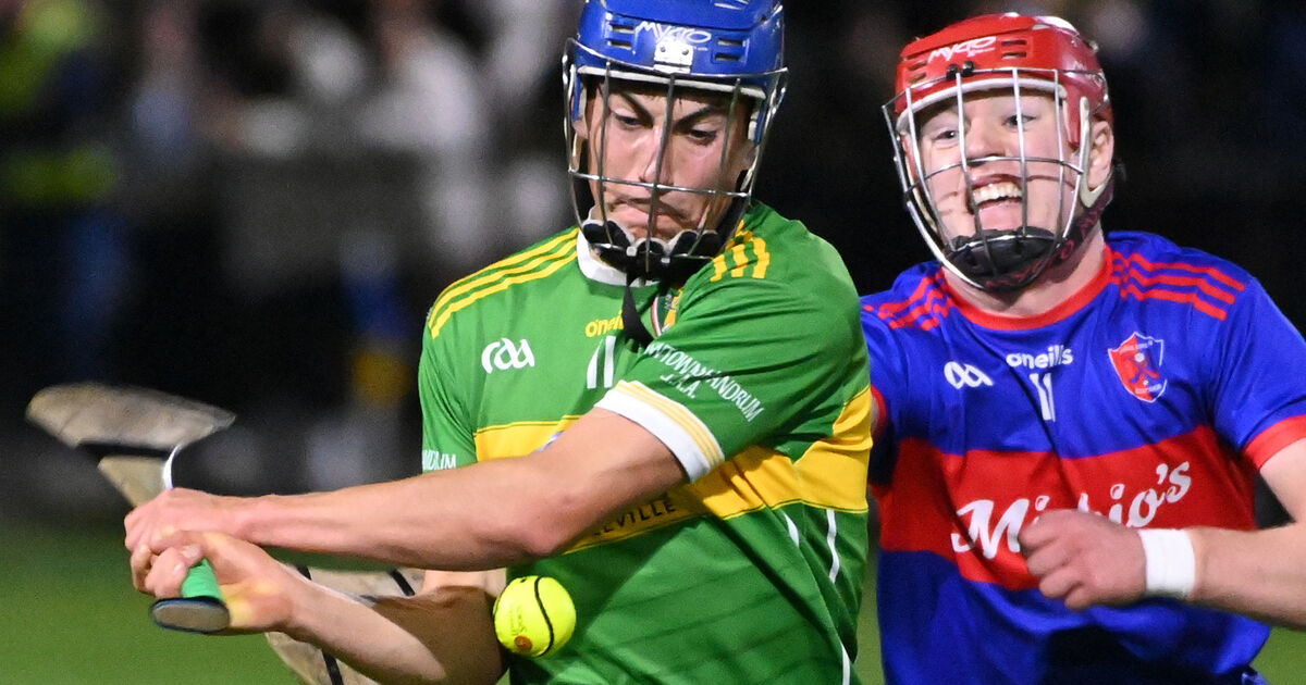 Erin's Own go down after Newtownshandrum make most of Premier Senior relegation replay