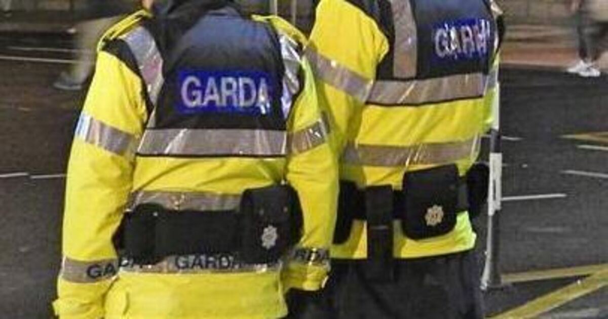 Man, 20s, arrested after 'alleged incident of false imprisonment' of woman in Kerry