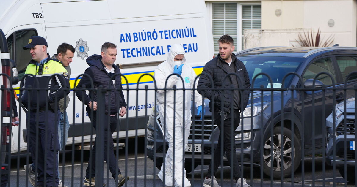 Finglas in shock as gardaí probe deaths of father and six-year-old daughter