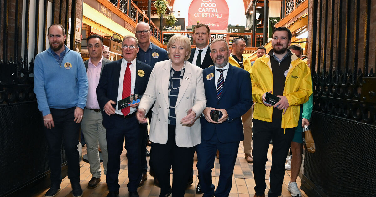 Humphreys canvases in Cork hours after Irish flags erected across city