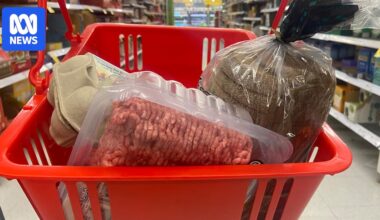 How gene editing is changing the meat in our diet, from fast-growing fish to heat-tolerant cows