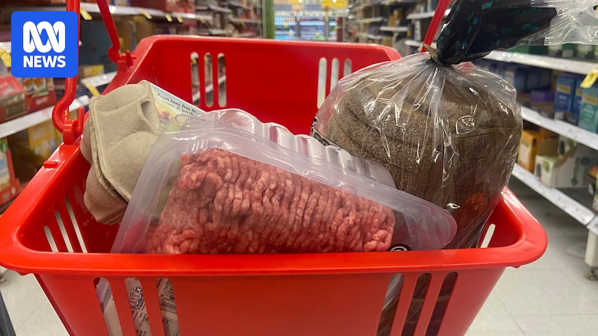 How gene editing is changing the meat in our diet, from fast-growing fish to heat-tolerant cows