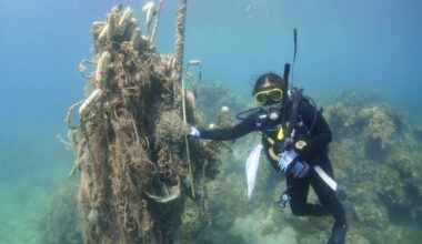 Japan backs development of new materials to cut marine plastic waste
