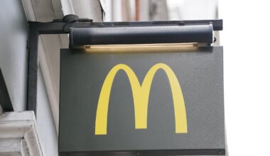 Partial closure order issued to a McDonald’s restaurant over rodent droppings in storage unit – The Irish Times