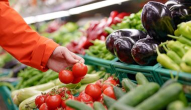 Grocery price inflation tops 6% as back-to-school shopping drives sales surge – The Irish Times