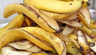 The Nutritional and Health Benefits of Banana Peels