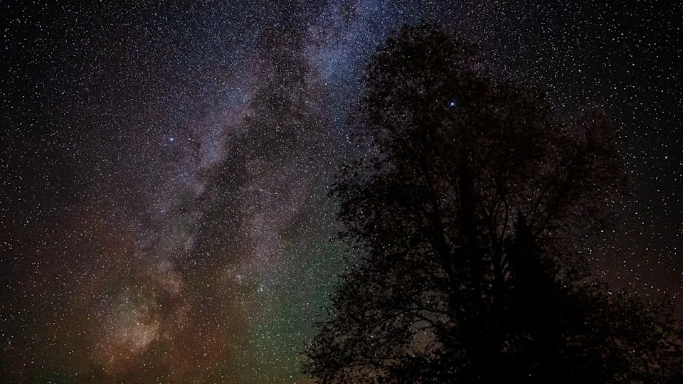 The glowing band of the Milky Way is visible streaking through a starry sky towards the horizon with a tree in the foreground.