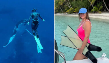 Incredibly rare moment on tour boat leaves Aussie 'screaming and crying'