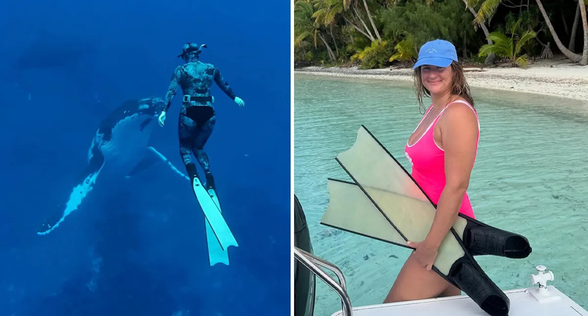 Incredibly rare moment on tour boat leaves Aussie 'screaming and crying'