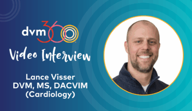 Using radiographic measurements to assess patient heart size