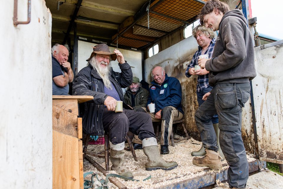 Getting ready for ploughing on day two of the National Ploughing Championships in Screggan, Tullamore, Co. Offaly. Pic: Mark Condren