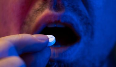 Highest dosage MDMA ever seen in Ireland identified at Electric Picnic – The Irish Times