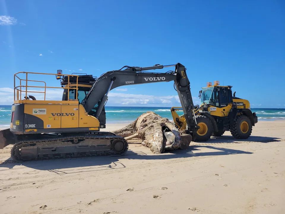 Commercial operators with specialised equipment were brought in to assist on the job this week. Source: Tweed Shire Council 