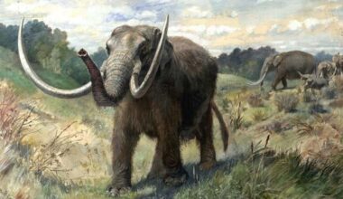 Mastodon Migrations With the Glaciers Ice Revealed in New Paper