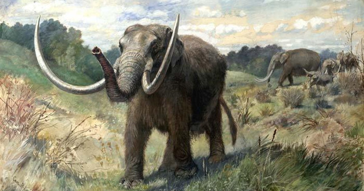 Mastodon Migrations With the Glaciers Ice Revealed in New Paper