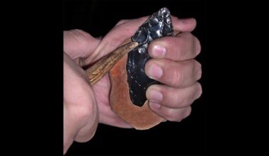 Manual dexterity and the human brain evolved together