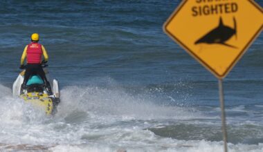 Man dies in shark attack at Sydney’s northern beaches – The Irish Times