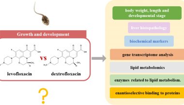 Stereoselective Effects and Its Potential Mechanism of Ofloxacin on the Growth and Development of Rana Nigromaculata: Mainly Liver Lipid Metabolism