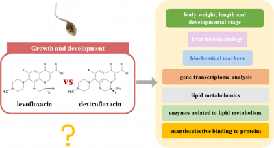 Stereoselective Effects and Its Potential Mechanism of Ofloxacin on the Growth and Development of Rana Nigromaculata: Mainly Liver Lipid Metabolism