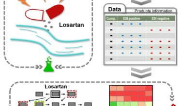 Evaluation of the halogenation and photofate of the blood pressure regulator losartan in water: reactivity and mechanisms