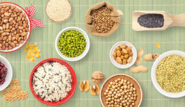 Global Seeds Market Insights: Key Trends & Industry Growth Forecast by 2033