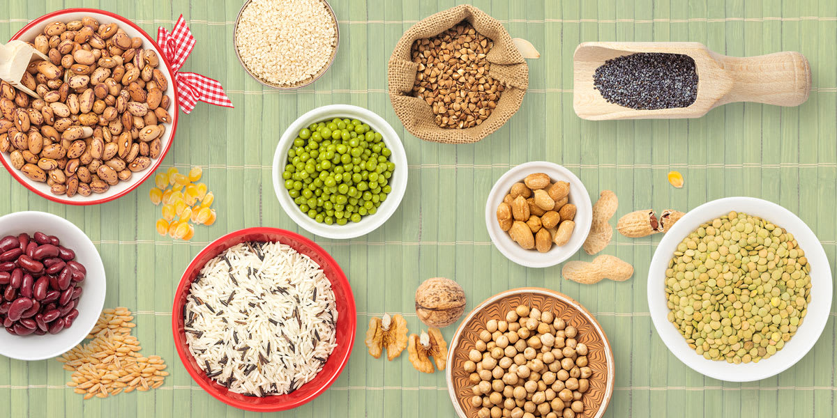 Global Seeds Market Insights: Key Trends & Industry Growth Forecast by 2033