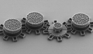 New teeny tiny motors can fit inside the strand of a piece of hair | National