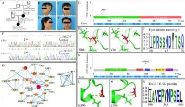 Identification of novel mutations in EYA3 and EFTUD2 in a family with craniofacial microsomia: evidence of digenic inheritance