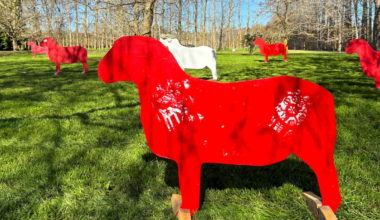 The Good Life: The first exhibits arrive at the new Lush Places sculpture garden