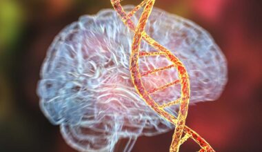 Trauma is carried in your DNA – but science reveals a more complicated story – Monash Lens