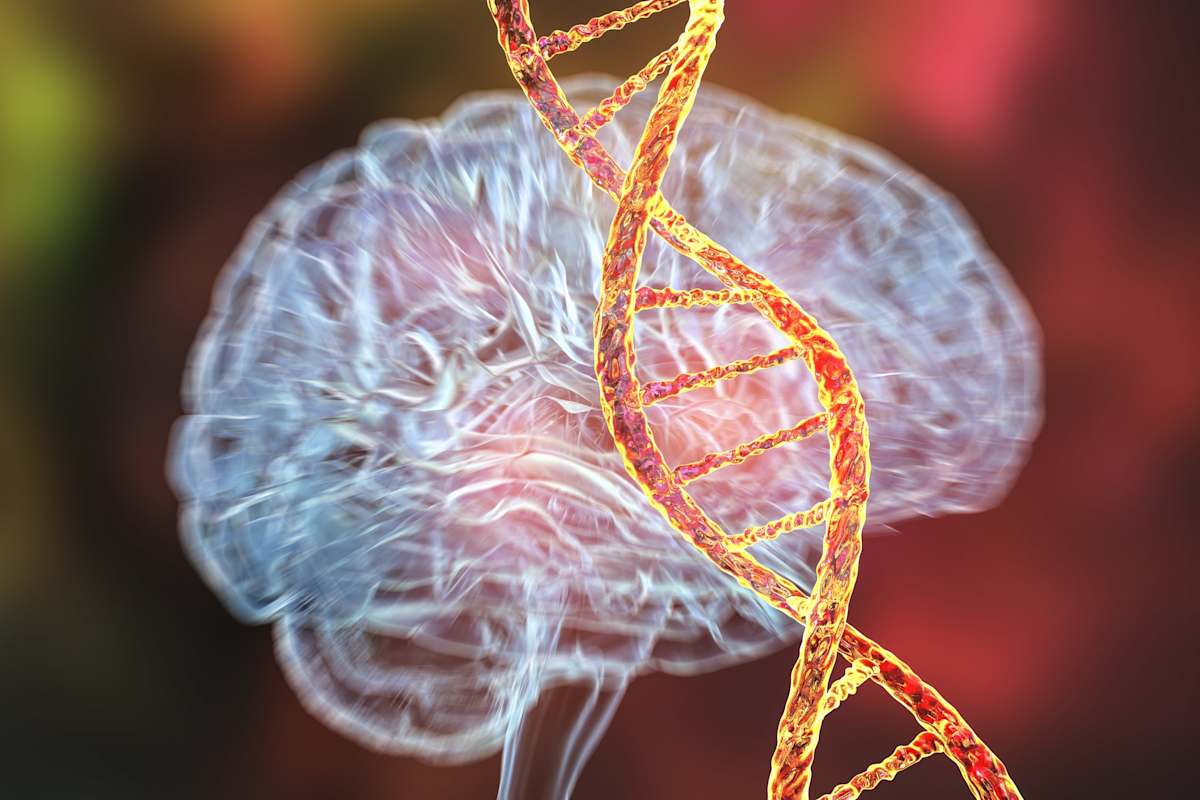 Trauma is carried in your DNA – but science reveals a more complicated story – Monash Lens