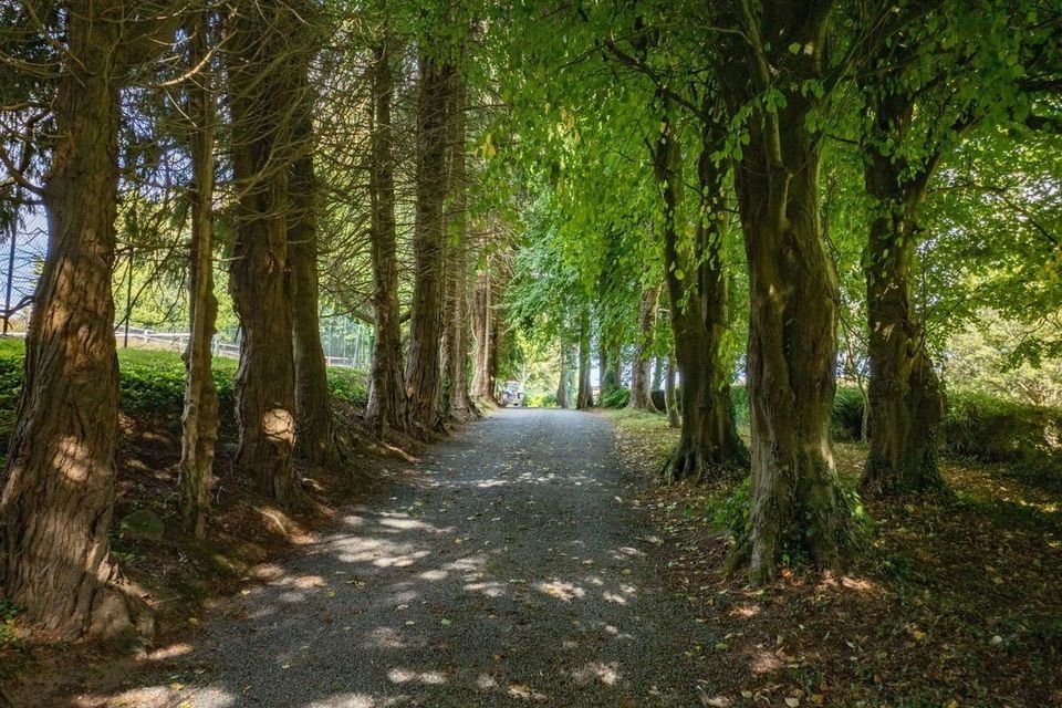 Dunran Demesne, Ashford, Co Wicklow.