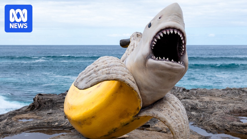 Sculpture by the Sea could be cancelled due to $200,000 shortfall