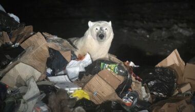 The circular economy could save the world – if anyone actually knew what it was