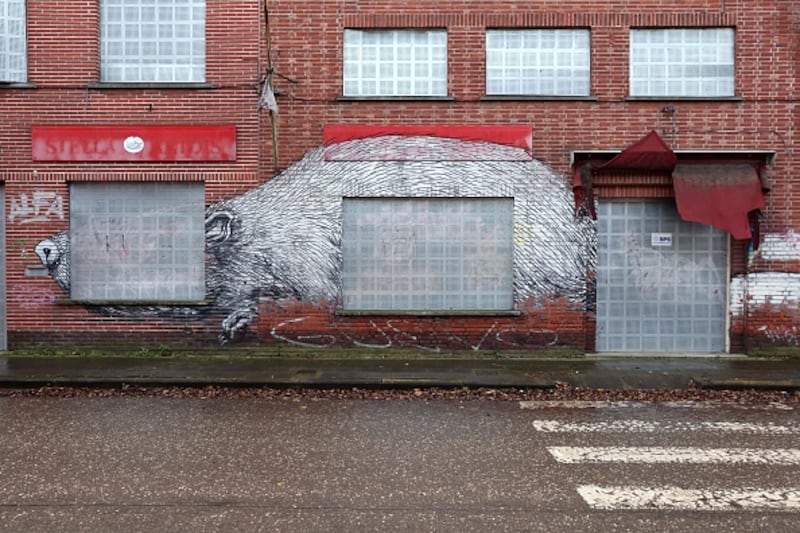 Graffiti on an abandoned house in Doel. Photograph: François Walschaerts/AFP via Getty Images