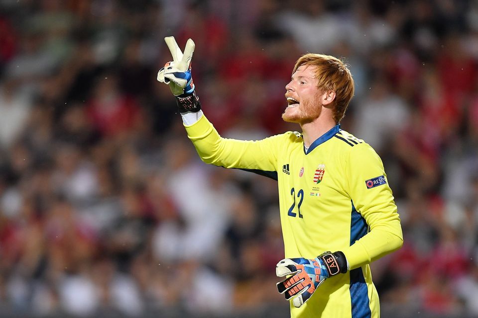 Adam Bogdan gives instructions during Hungary's friendly against Ireland at Szusza Ferenc Stadion in Budapest in June 2021. Photo: Alex Nicodim/Sportsfile
