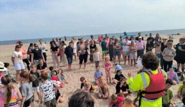 Wexford river and nature festival aims to keep children connected with nature – ‘It really gave food for thought’