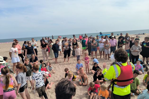 Wexford river and nature festival aims to keep children connected with nature – ‘It really gave food for thought’