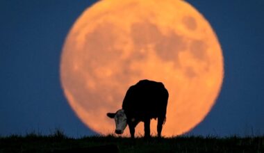 When is the September 2025 full moon? Corn moon date, time.
