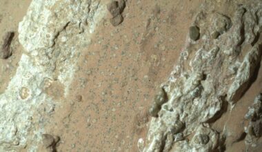 Life on Mars? Here's what that big discovery means for humanity