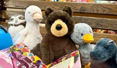 Why we love Hearthside Books in Juneau, Alaska