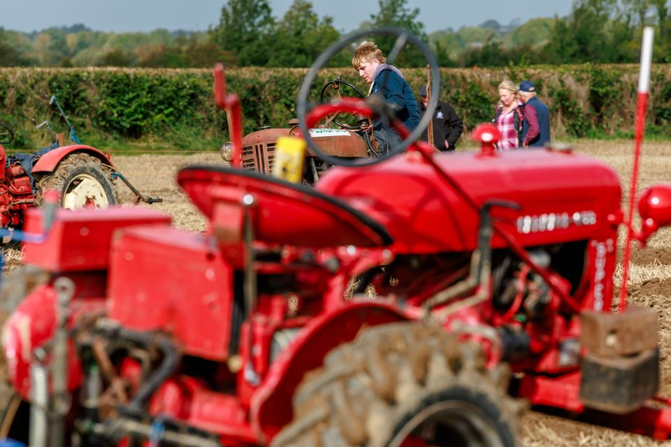 Vintage tractor ploughing on the second day of the National Ploughing Championships in Screggan, Tullamore, Co. Offaly. Pic: Mark Condren