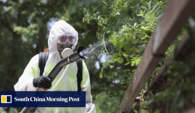 Global warming and increased travel drive surge in Hong Kong dengue infections