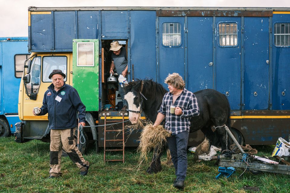 James Coffey with plough horse Sunny, John Kelly and Gerry North have an early morning cup of tea before ploughing stars on the second day of the National Ploughing Championships in Screggan, Tullamore, Co. Offaly. Pic: Mark Condren