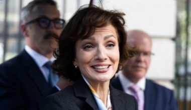 ‘Super primary’ day will narrow path for Independents to contest presidential election – The Irish Times