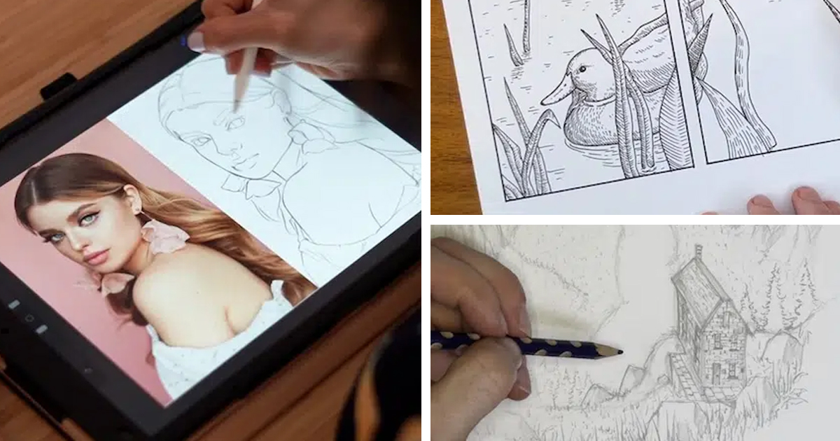 Elevate Your Drawing Skills With These Great Online Art Courses