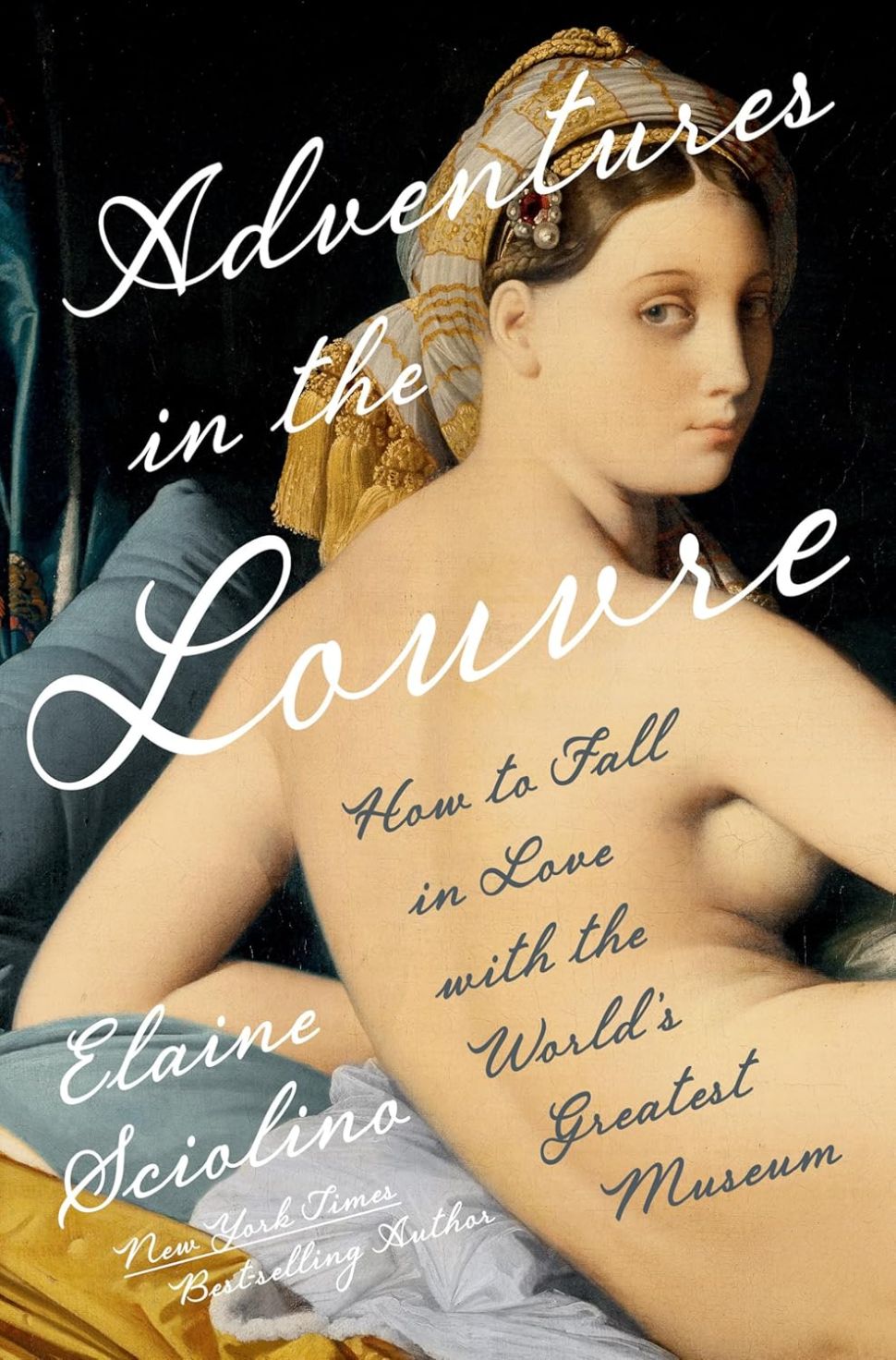 An image of the book cover for Adventures in the Louvre by Elaine Sciolino, featuring a classical nude figure with white script lettering and the subtitle “How to Fall in Love with the World’s Greatest Museum.”